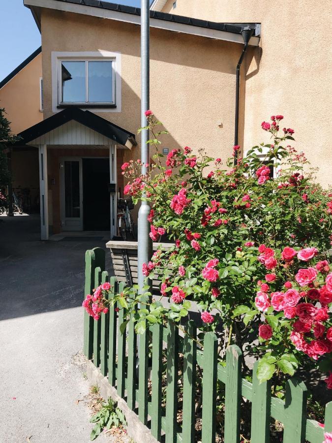 Birkagatan Vandrarhem Hostel Visby Bagian luar foto